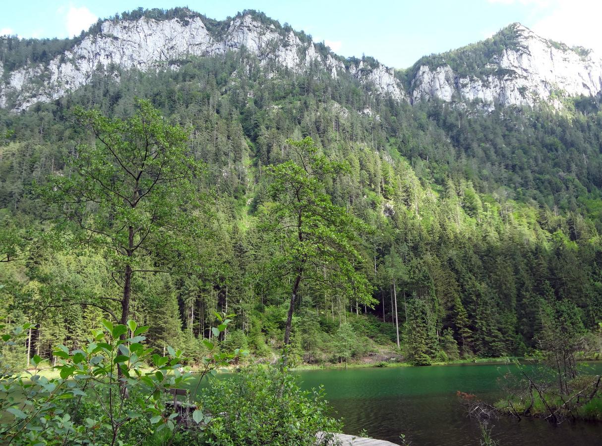 Alpenhotel Gastager Inzell Zewnętrze zdjęcie