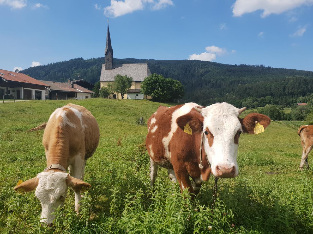 Alpenhotel Gastager Inzell Zewnętrze zdjęcie